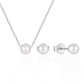 925 Sterling Silver New Pearl Earring And Necklace Set Clavicle Chain Korean Style